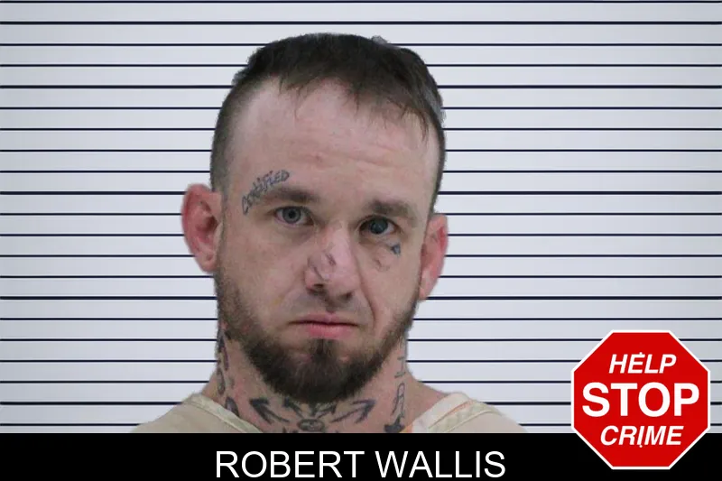Robert Wallis mugshot