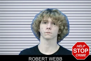 Robert Webb mugshot