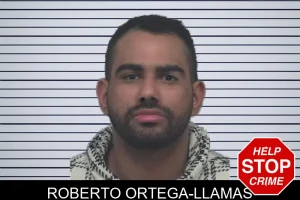 Roberto Ortega-Llamas mugshot