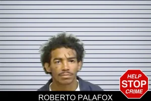 Roberto Palafox mugshot