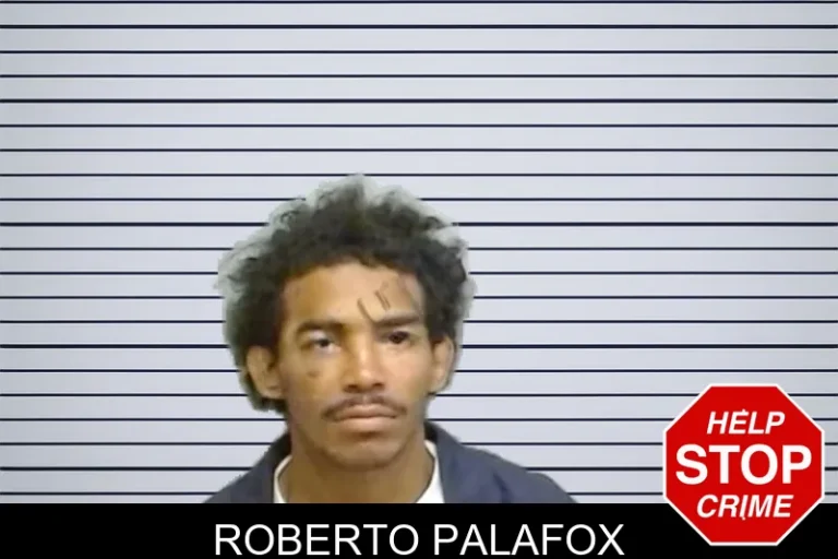 Roberto Palafox mugshot – Fulton County , Georgia Roberto Palafox