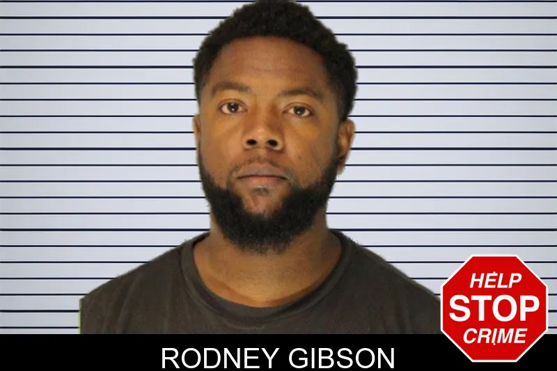 Rodney Gibson mugshot