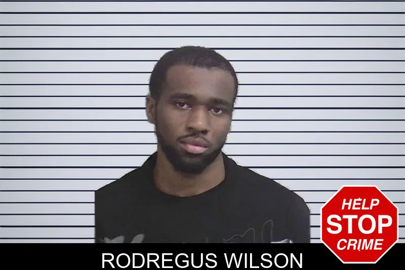 Rodregus Wilson mugshot – Wayne County , Georgia Rodregus Wilson mugshot