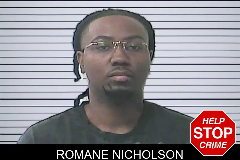 Romane Nicholson mugshot