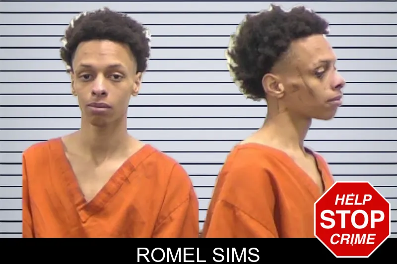 Romel Sims mugshot – Clarke County , Georgia Romel Sims mugshot