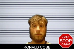 Ronald Cobb mugshot