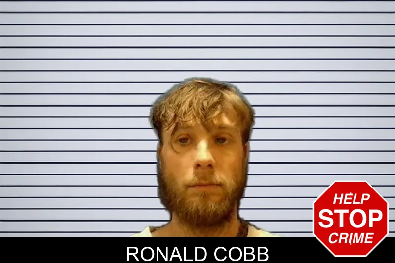 Ronald Cobb mugshot