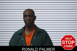 Ronald Palmer mugshot