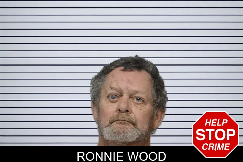 Ronnie Wood mugshot
