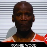 Ronnie Wood mugshot