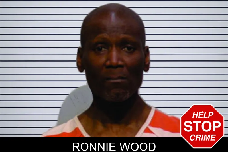 Ronnie Wood mugshot