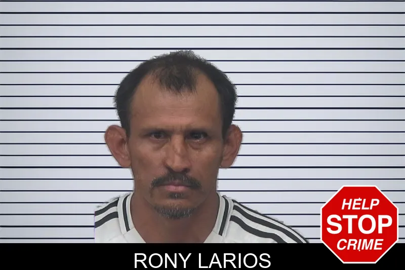 Rony Larios mugshot – Gwinnett County , Georgia Rony Larios mugshot