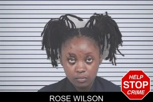 Rose Wilson mugshot