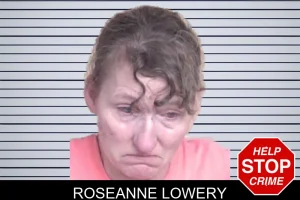Roseanne Lowery mugshot