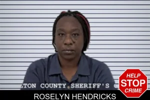 Roselyn Hendricks mugshot