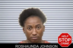 Roshaunda Johnson mugshot