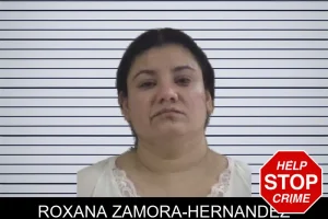 Roxana Zamora-Hernandez mugshot