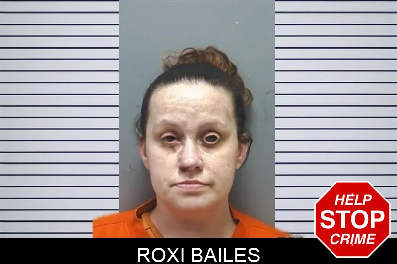 Roxi Bailes mugshot – Cherokee County , Georgia Roxi Bailes mugshot