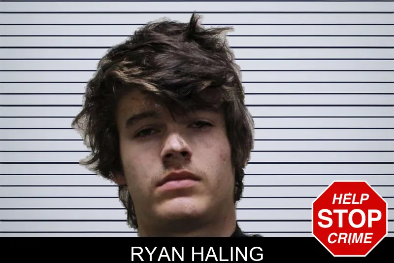 Ryan Haling mugshot