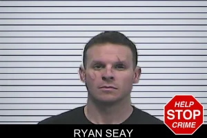 Ryan Seay mugshot