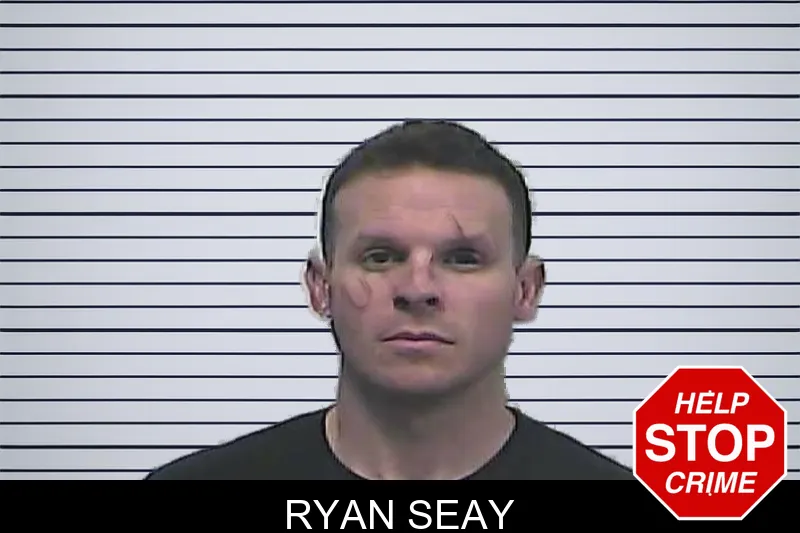 Ryan Seay mugshot