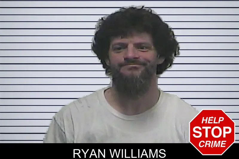 Ryan Williams mugshot – Dawson County , Georgia Ryan Williams mugshot