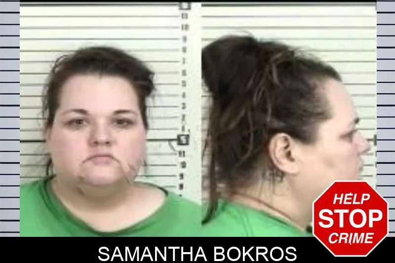 Samantha Bokros mugshot – Camden County , Georgia Samantha Bokros mugshot