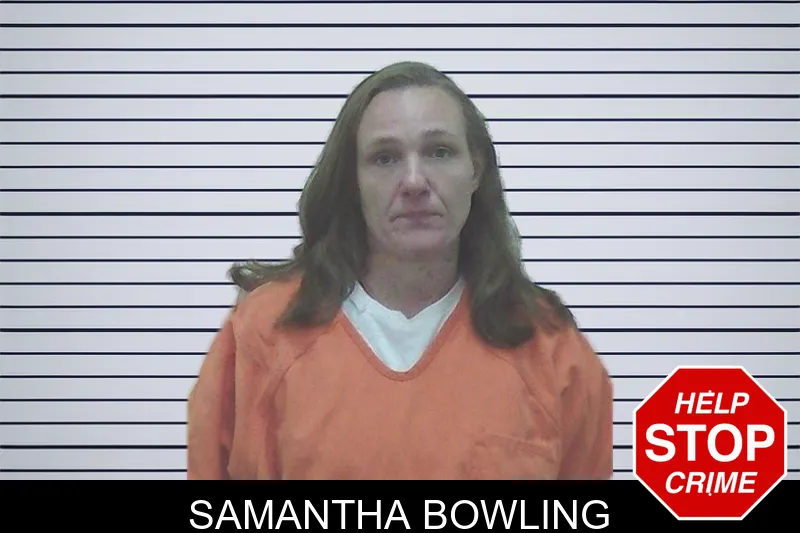 Samantha Bowling mugshot – Worth County , Georgia Samantha Bowling mugshot