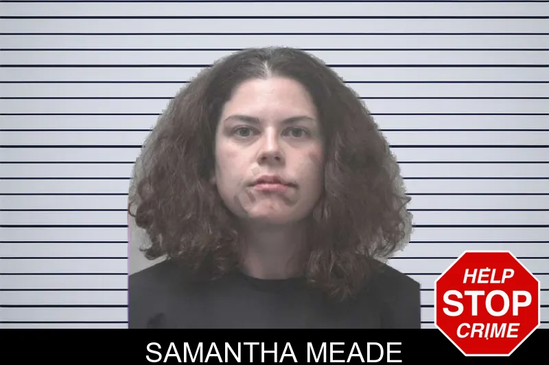 Samantha Meade mugshot