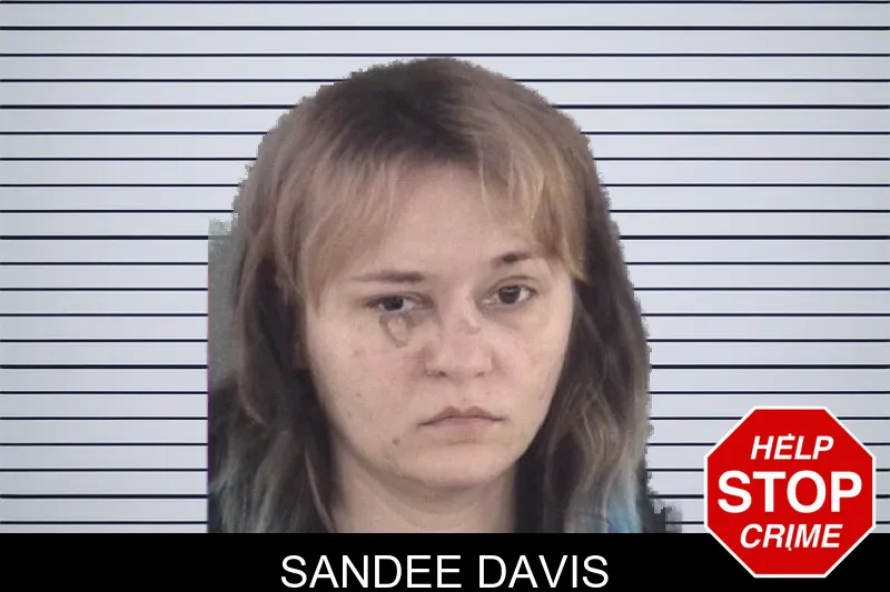 Sandee Davis mugshot