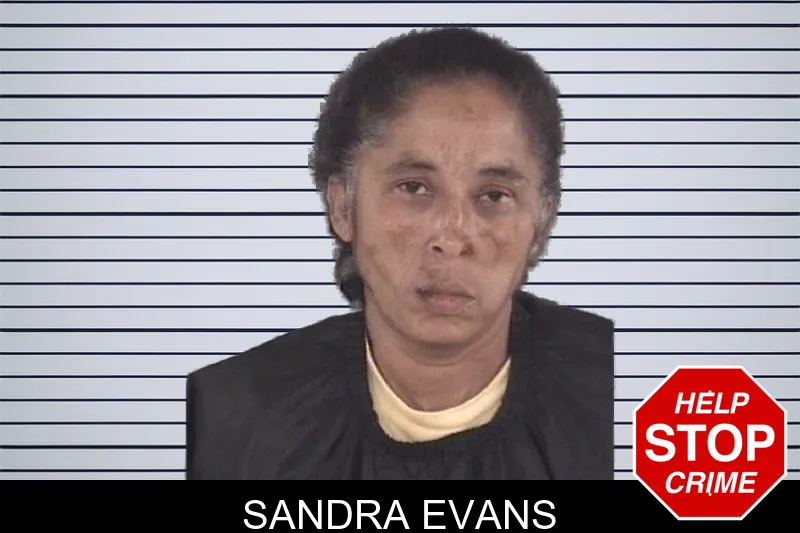 Sandra Evans mugshot