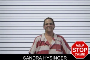 Sandra Hysinger mugshot
