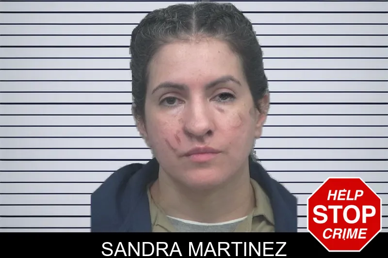 Sandra Martinez mugshot