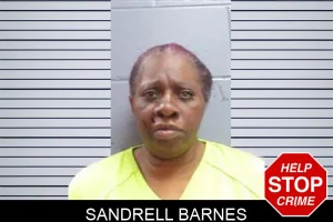 Sandrell Barnes mugshot