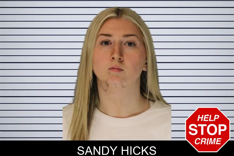 Sandy Hicks mugshot