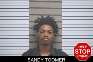 Sandy Toomer mugshot