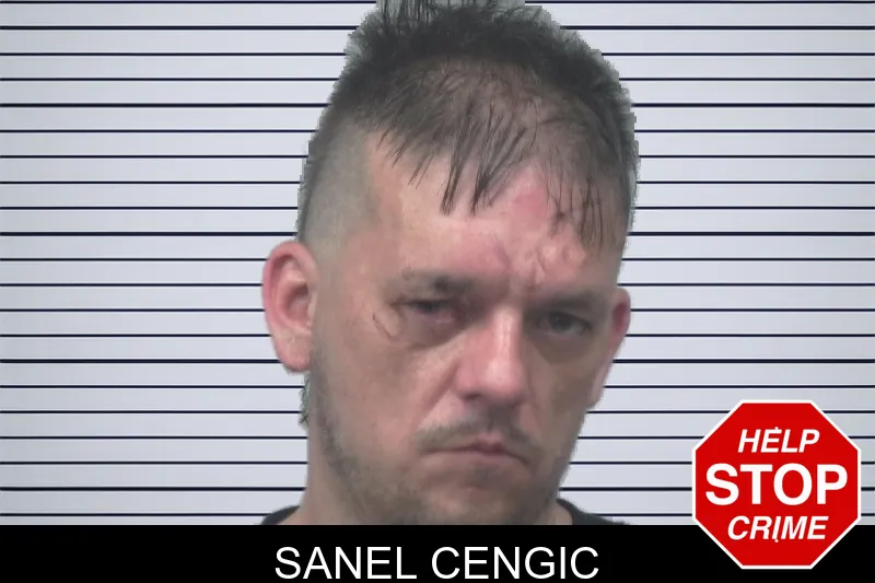 Sanel Cengic mugshot