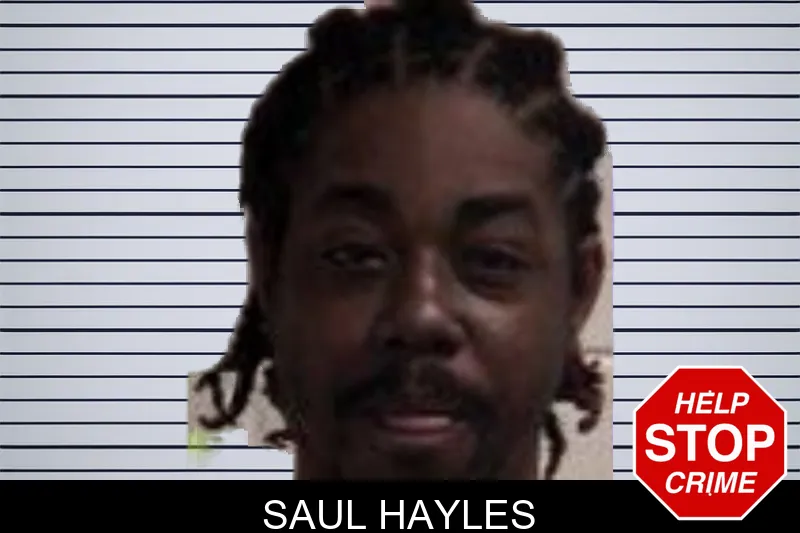 Saul Hayles mugshot