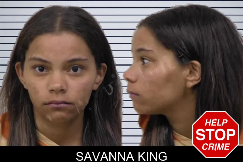 Savanna King mugshot – Paulding County , Georgia Savanna King mugshot