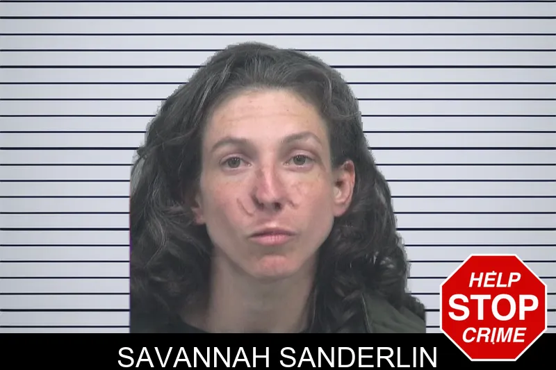 Savannah Sanderlin mugshot
