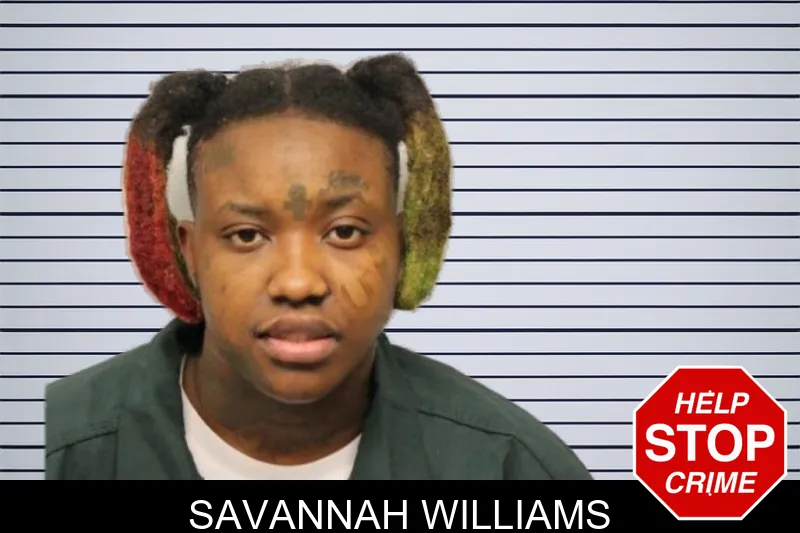 Savannah Williams mugshot