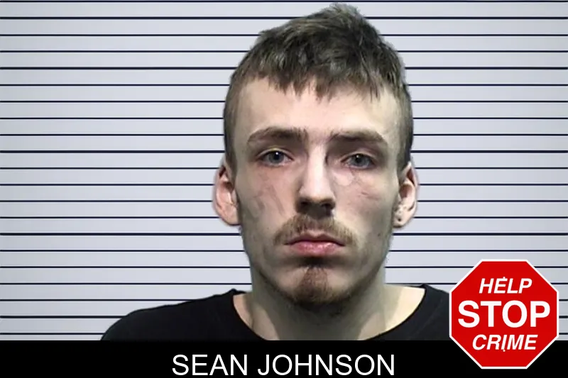 Sean Johnson mugshot