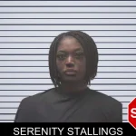 Serenity Stallings mugshot – Coweta County , Georgia Serenity Stallings mugshot