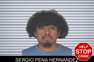 Sergio Pena Hernandez mugshot