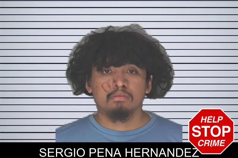 Sergio Pena Hernandez mugshot