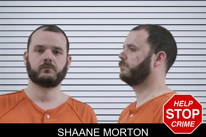 Shaane Morton mugshot