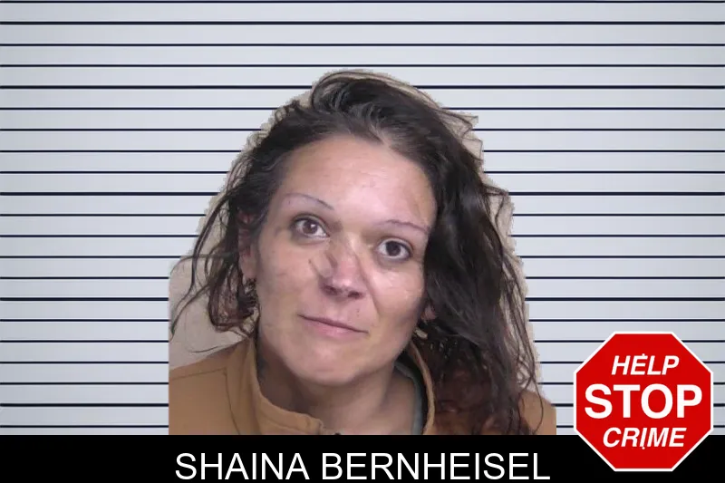 Shaina Bernheisel mugshot