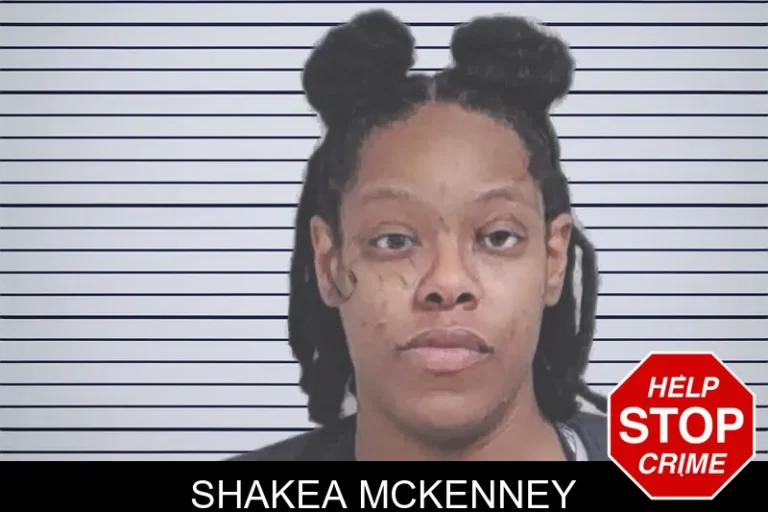 Shakea McKenney mugshot – Lowndes County , Georgia Shakea McKenney
