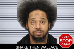 Shakeithen Wallace mugshot