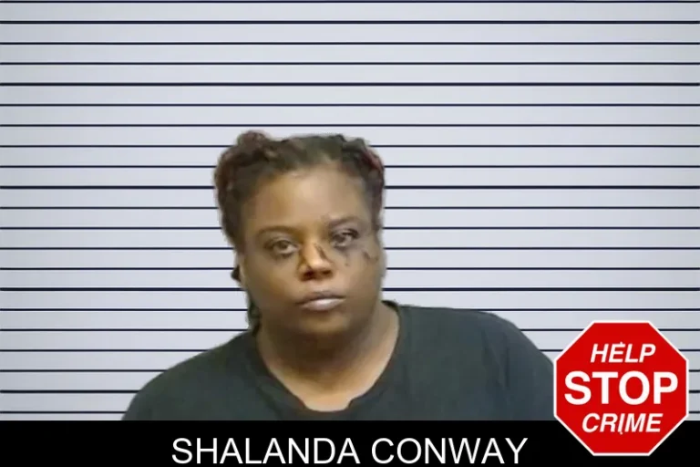 Shalanda Conway mugshot – Fulton County , Georgia Shalanda Conway